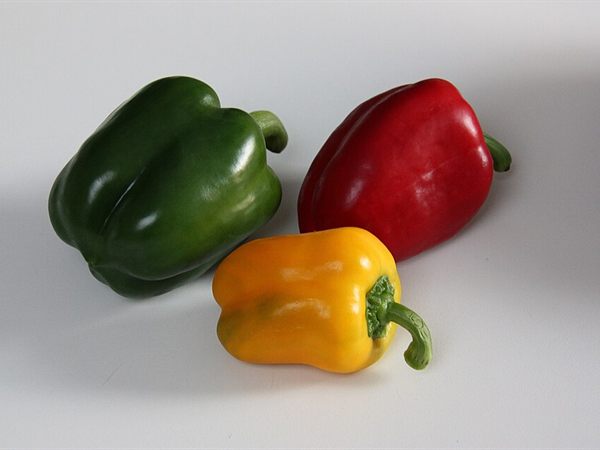 Dolma Sera