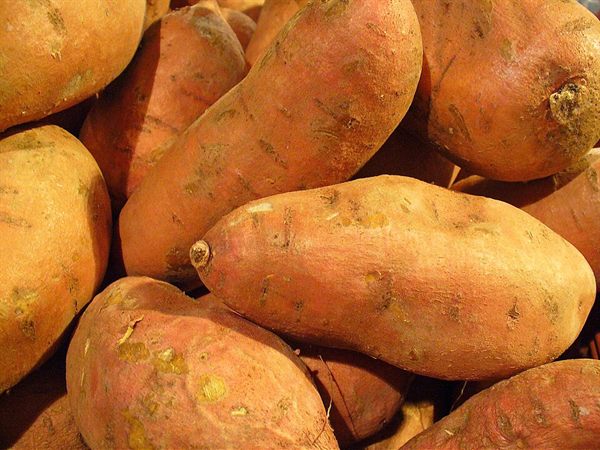 Tatlı Patates